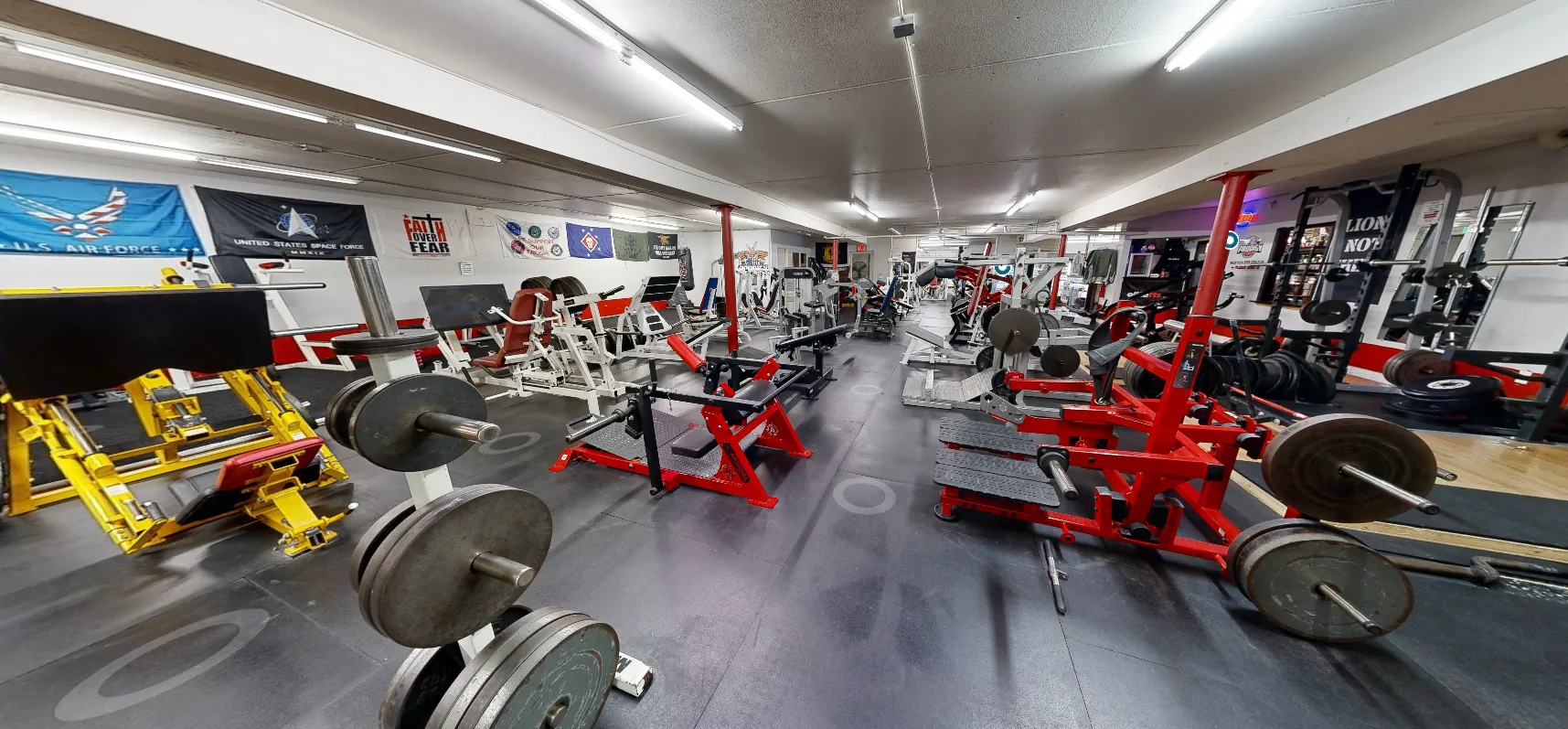 Prodigy Gym interior virtual tour perspective